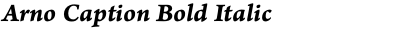 Arno Caption Bold Italic